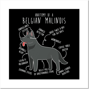 Black Belgian Malinois Dog Anatomy Posters and Art